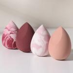 AuraBlend "Chroma-Matrix" 4-Piece Hydrophilic Sponge Set