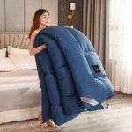 CloudLoft Heavyweight Soybean Fiber Winter Duvet Comforter