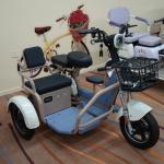 Hongxun Multi-Passenger Leisure Trike