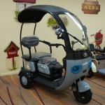 Hongxun (鸿迅) Covered Passenger Tuk-Tuk / Canopy Trike